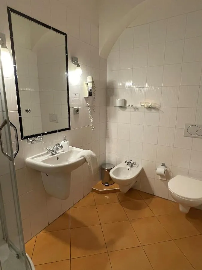 פראג U Cervene Zidle - Red Chair Hotel 3*,